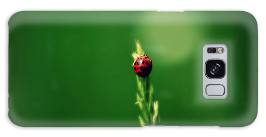 Ladybug Galaxy Case featuring the photograph Ladybug Hugs by Robin Dickinson