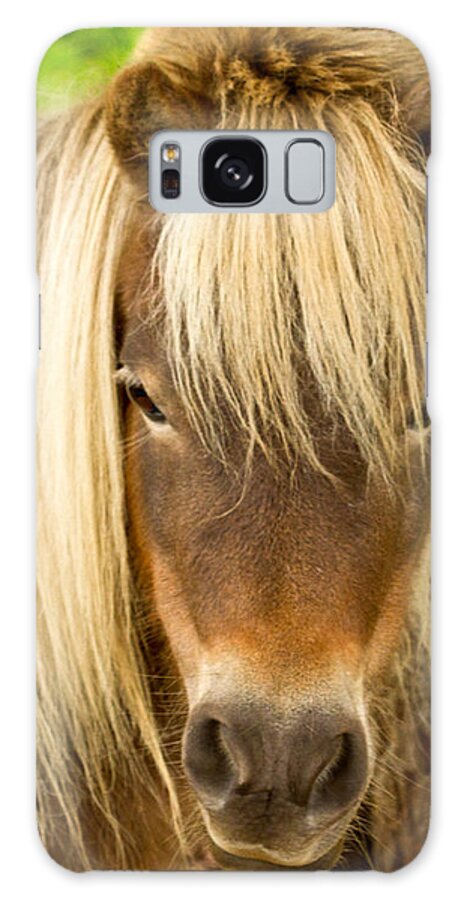 Animals Galaxy Case featuring the photograph Lil Sebastian by Jean Noren