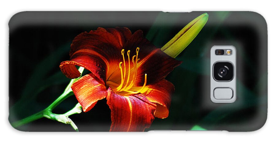 Lily Galaxy Case featuring the photograph Lily by Janice Adomeit