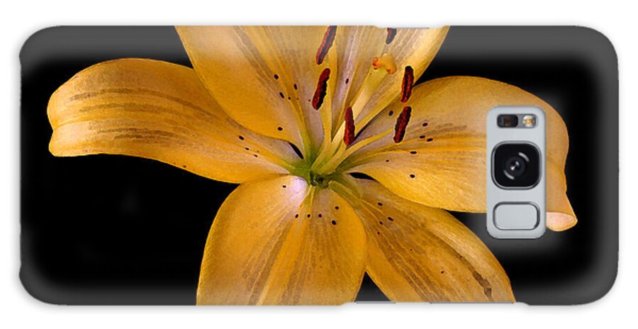 Lily Galaxy Case featuring the photograph Lily by Karen Harrison Brown