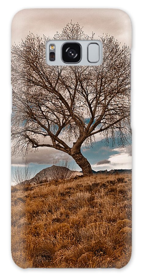 Tree Galaxy Case featuring the photograph Lone Tree by Mark Forte