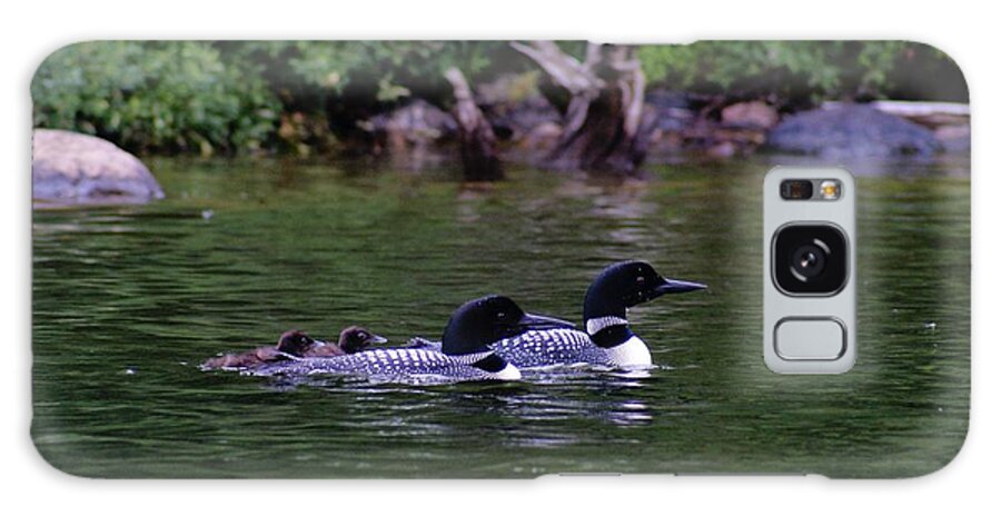Loons Galaxy Case featuring the photograph Loons with Twins 2 by Steven Clipperton