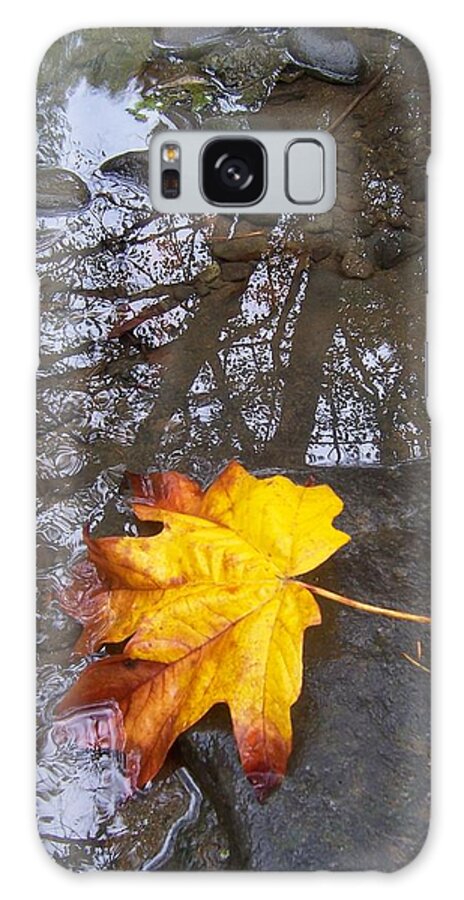 Maple Leaf Galaxy Case featuring the photograph Maple Leaf Reflection 1 by Peter Mooyman