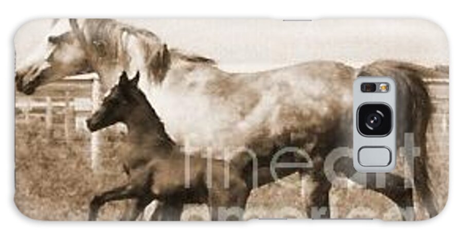 Mare Galaxy Case featuring the photograph Mare and Foal by Vonda Lawson-Rosa