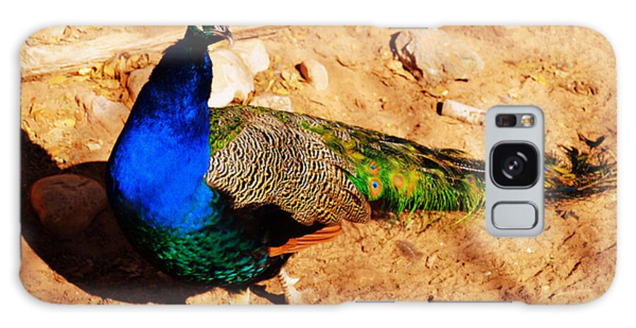 Peacock Galaxy Case featuring the photograph Me And My Shadow by Diane montana Jansson