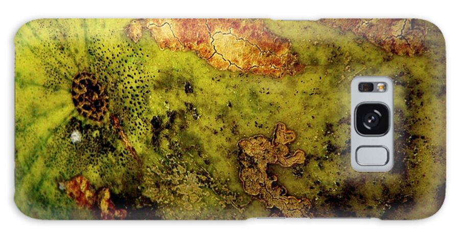 Melon Galaxy Case featuring the photograph Melon Rind by Chris Berry