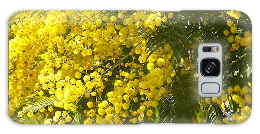 Fleurs Galaxy Case featuring the photograph Mimosas by Sylvie Leandre