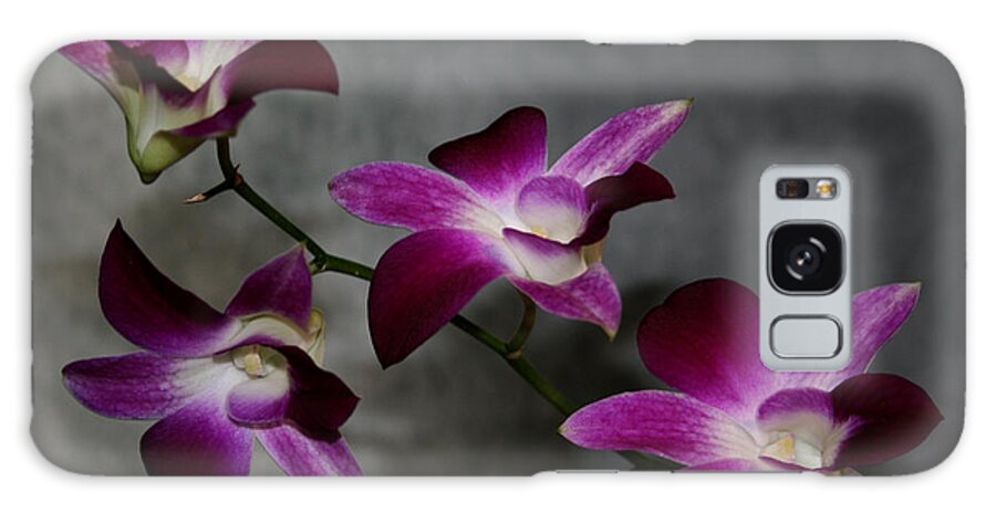 Purple Galaxy Case featuring the photograph Miniature Orchids by Karen Harrison Brown