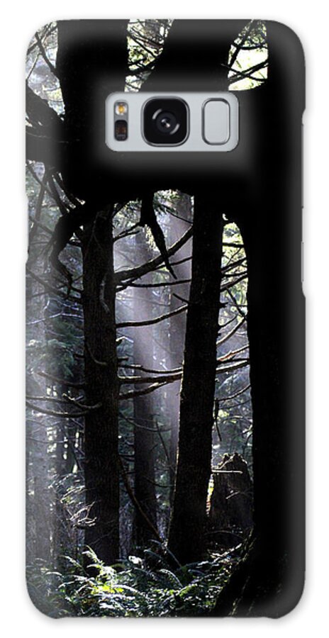 Forest Galaxy Case featuring the photograph Misty Light at Second Beach by Marie Jamieson