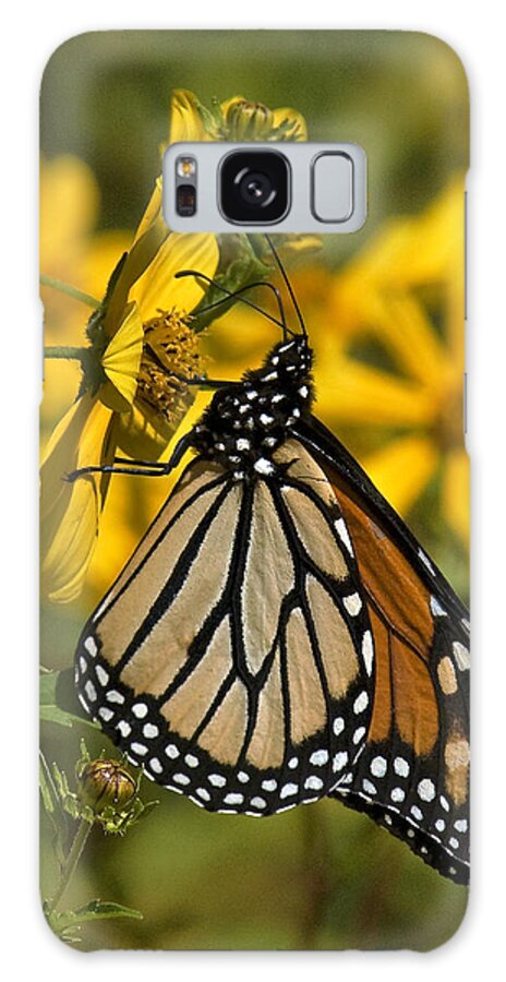 Nature Galaxy Case featuring the photograph Monarch Butterfly on Tickseed Sunflower DIN146 by Gerry Gantt