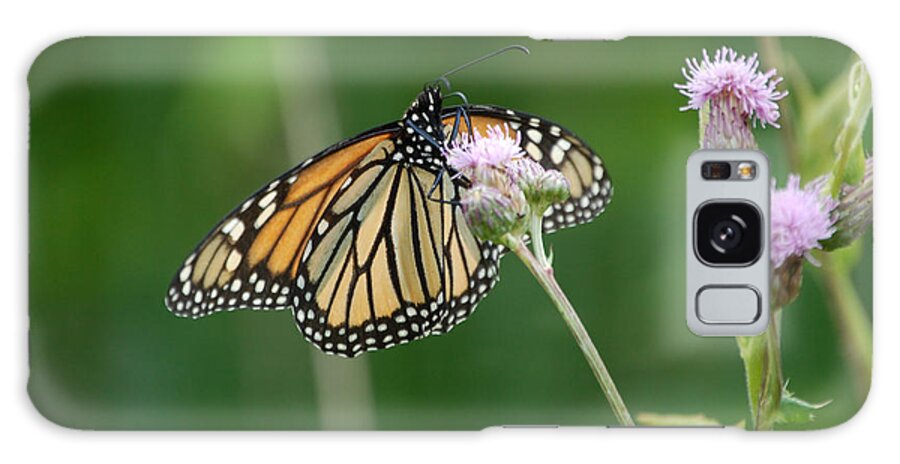 Monarch Butterfly Galaxy Case featuring the photograph Monarch Butterfly by Susan Stevens Crosby
