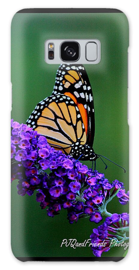 Butterflies Galaxy Case featuring the photograph 'Monarch on Buddleia' by PJQandFriends Photography