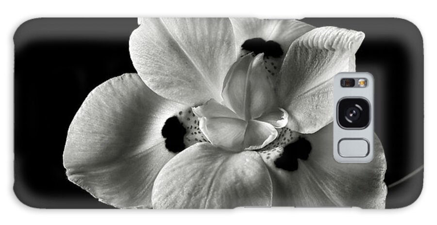Flower Galaxy Case featuring the photograph Morea Lily 2 in Black and White by Endre Balogh