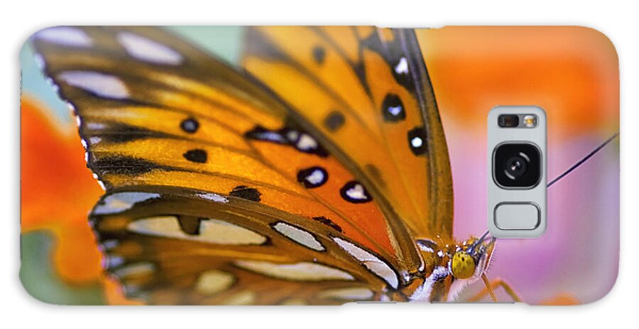 Butterfly Galaxy Case featuring the photograph Morning Butterfly by Joel Olives