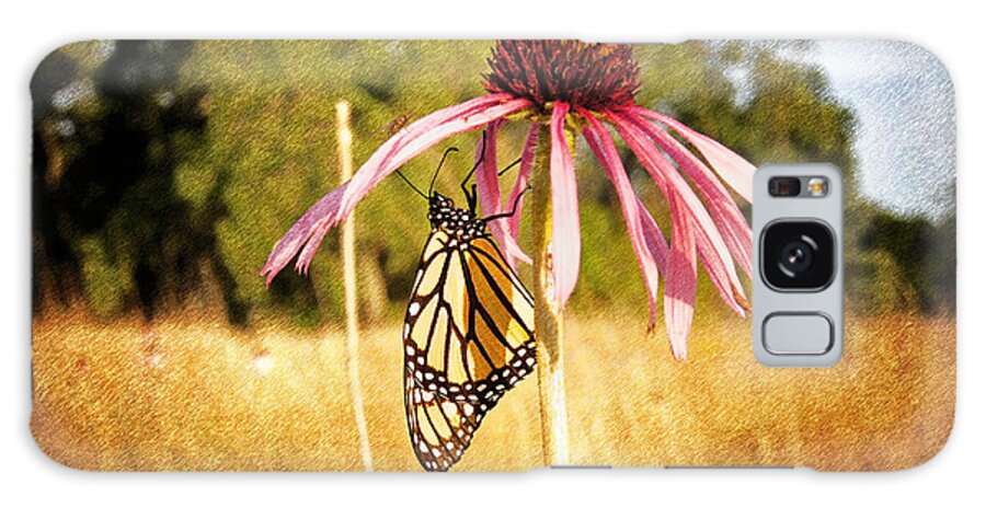 Purple Cone Flower Galaxy Case featuring the photograph Morning Dangler by Bill Pevlor