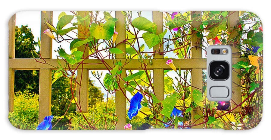 Morning Glory Flower Photograph Galaxy S8 Case featuring the photograph Morning Glory by Ann Murphy