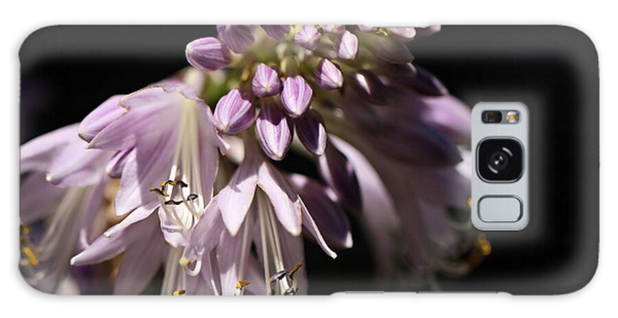 Light Galaxy Case featuring the photograph Morning Light by Katherine White