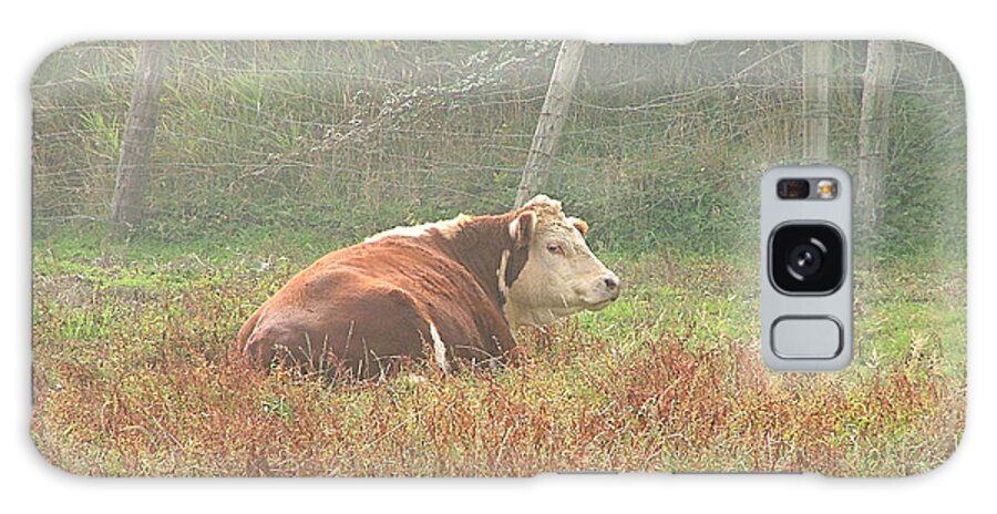 Cow Canvas Prints Galaxy S8 Case featuring the photograph Morning MOO by Wendy McKennon
