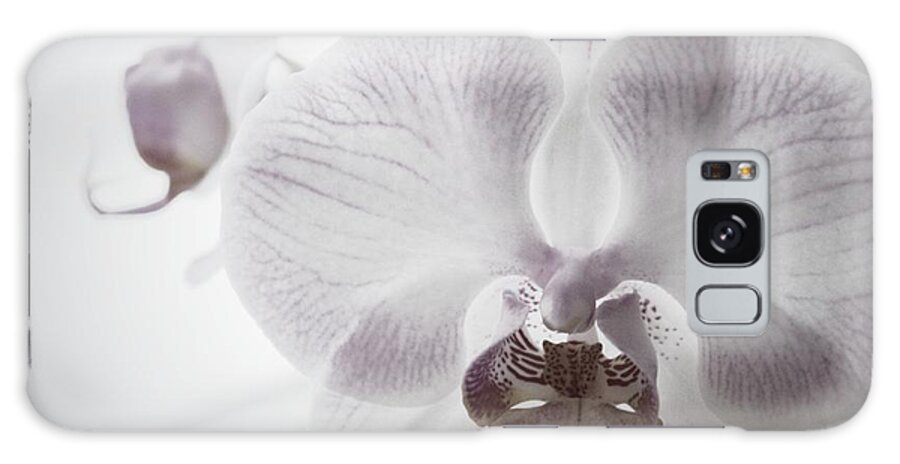 Moth Galaxy Case featuring the photograph Moth Orchid by Shehan Wicks