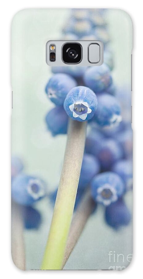 Grape Hyacinths Galaxy Case featuring the photograph Muscari by Priska Wettstein