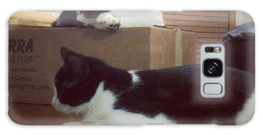 Petstagram Galaxy Case featuring the photograph My Formal Dining Room...tuxedo Required by Stephen Cooper