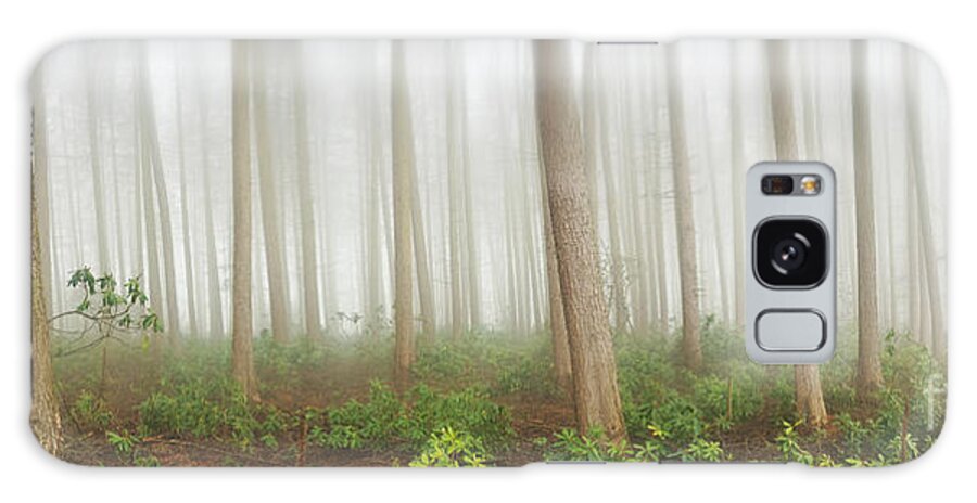 Wood Galaxy Case featuring the photograph Mystical Wood by Martin Williams