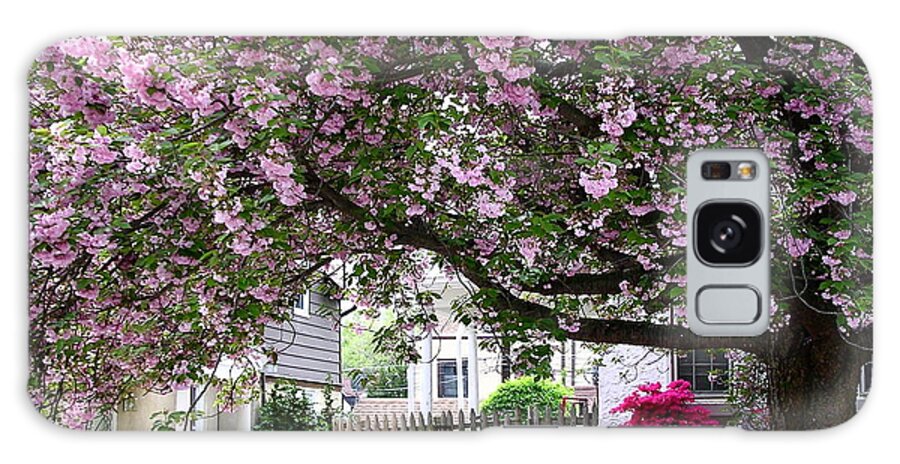 Flowering Cherry Galaxy Case featuring the photograph Neighborhood Cherry Tree by Byron Varvarigos