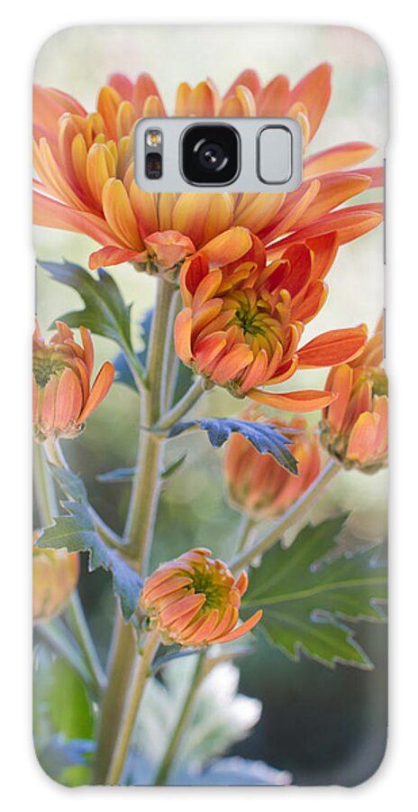 Autumn Galaxy Case featuring the photograph Orange Mums by Heidi Smith