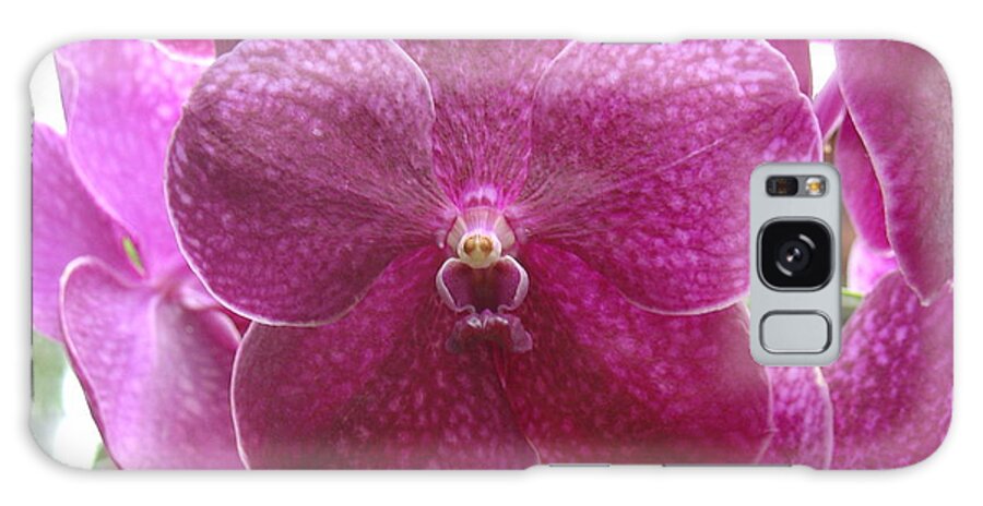Orchid Galaxy Case featuring the photograph Orchid Cluster by Charles and Melisa Morrison