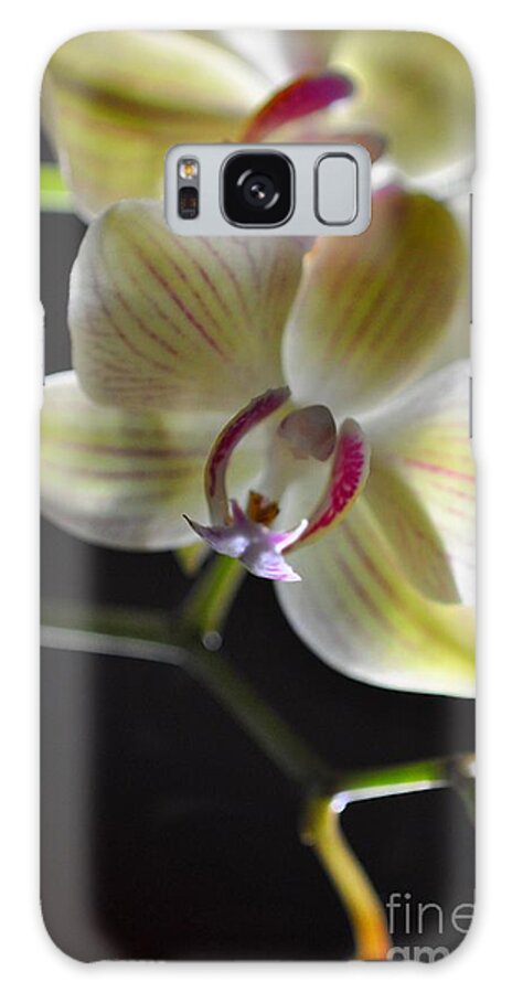 Fleur Galaxy S8 Case featuring the photograph Orchidee #2 by Sylvie Leandre