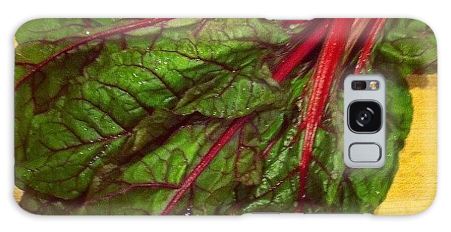  Galaxy Case featuring the photograph Organic Swiss Chard From My Schools by Travis Sevilla