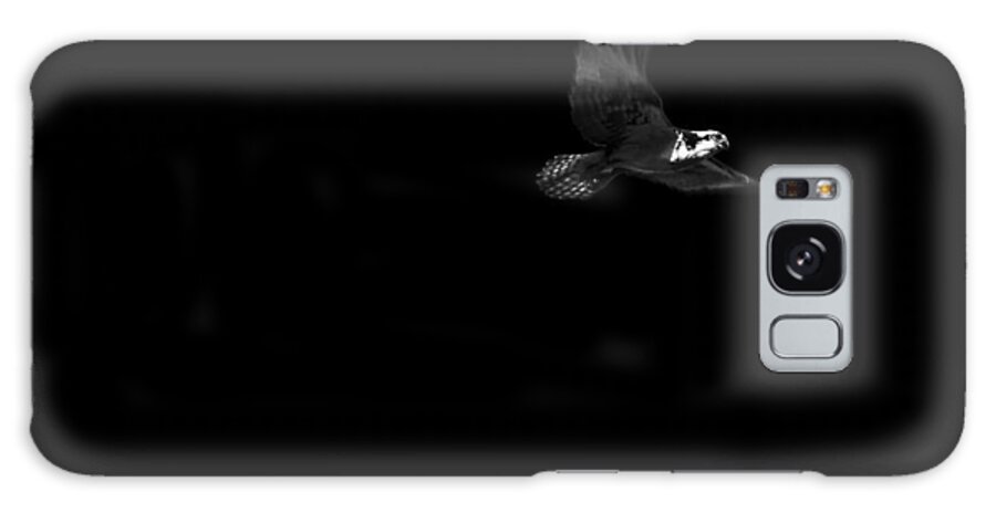 Bird Galaxy S8 Case featuring the photograph Osprey by Joseph Noonan