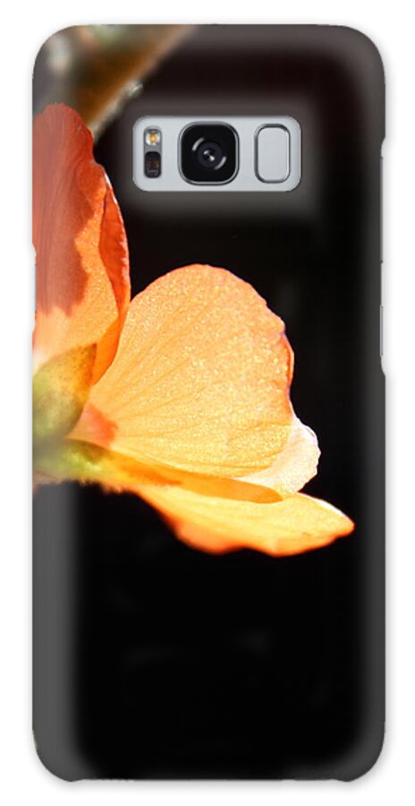 Sphaeralcea Ambigua Galaxy Case featuring the photograph Out of Darkness by Kume Bryant