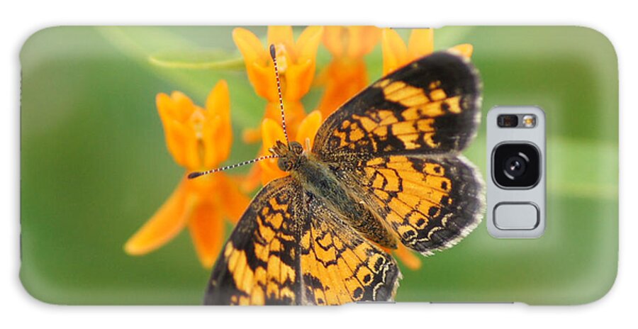 Pearl Crescent Butterfly Galaxy Case featuring the photograph Pearl Crescent on Butterfly Weed Flowers 2 by Robert E Alter Reflections of Infinity LLC
