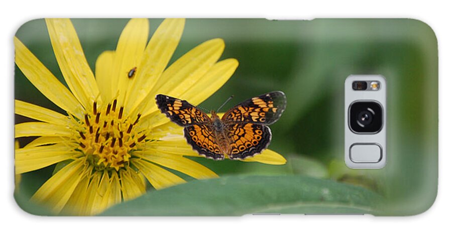 Pearl Crescent Butterfly Galaxy Case featuring the photograph Pearl Cresent on a Yellow Flower by Susan Stevens Crosby
