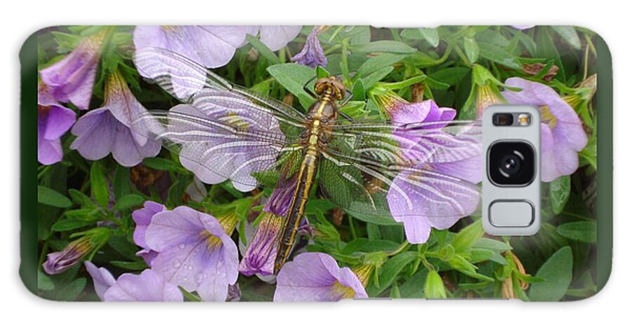 Petunias Galaxy Case featuring the photograph Petunias with Dragonfly by Patricia Overmoyer