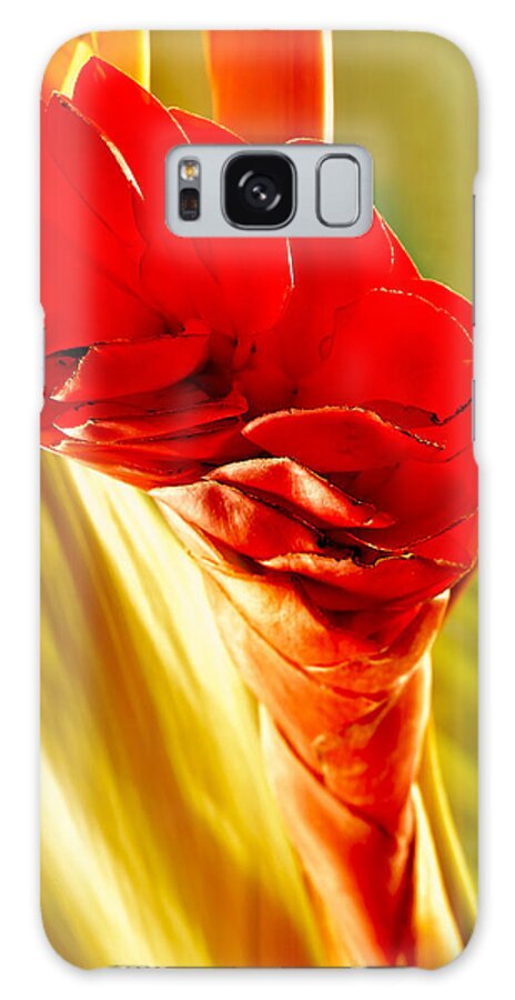 Flowers Galaxy Case featuring the photograph Photograph of a Red Ginger Flower by Perla Copernik