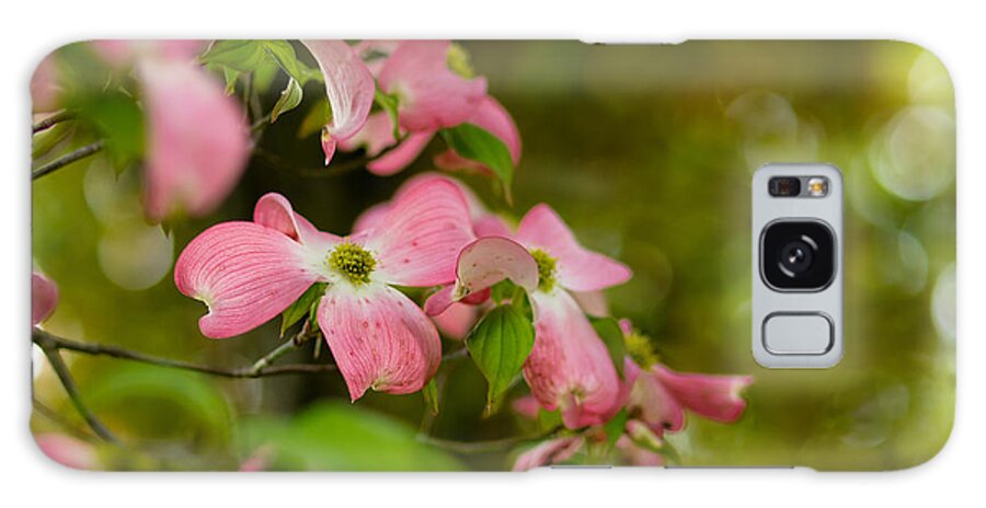 Blooms Galaxy S8 Case featuring the photograph Pink Dogwood Blooms by Lori Coleman