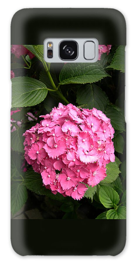 Pink Hydranga Galaxy S8 Case featuring the digital art Pink hydranga by Claude McCoy