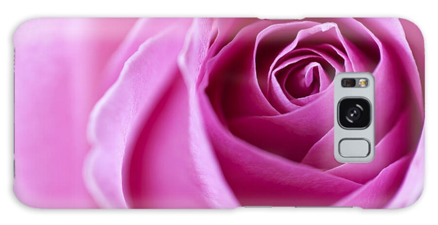 Rose Galaxy Case featuring the photograph Pink Rose by Ian Merton