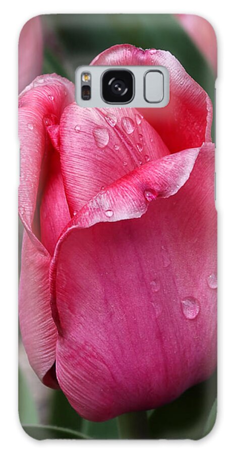 Pink Tulip Galaxy Case featuring the photograph Pink Tulip In The Rain by Tracie Schiebel