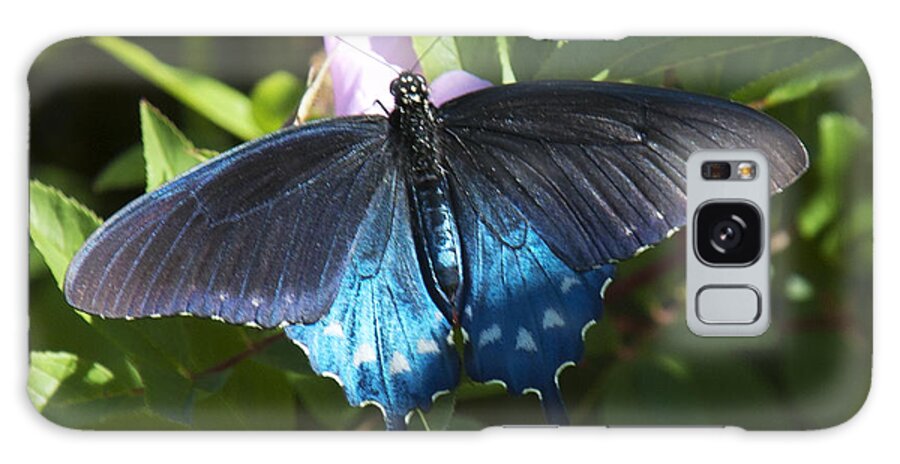 Nature Galaxy Case featuring the photograph Pipevine Swallowtail DIN003 by Gerry Gantt