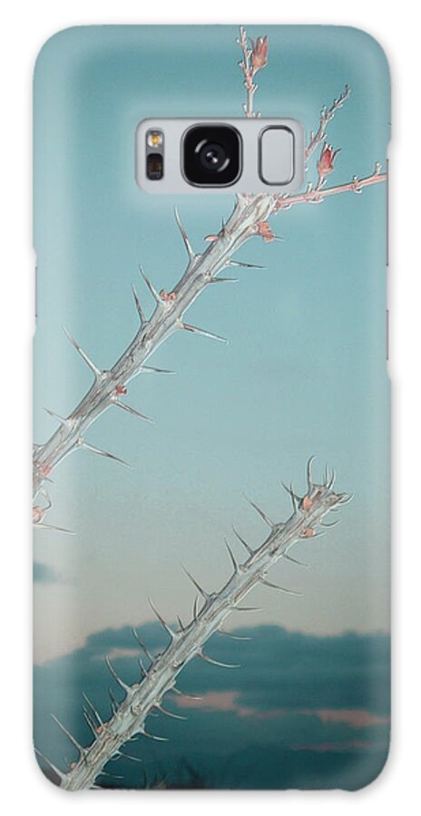 Desert Plant Galaxy Case featuring the photograph Plant by Naxart Studio