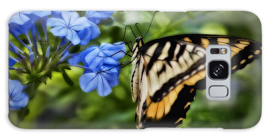 Plumbago Galaxy Case featuring the photograph Plumbago and Swallowtail by Steven Sparks
