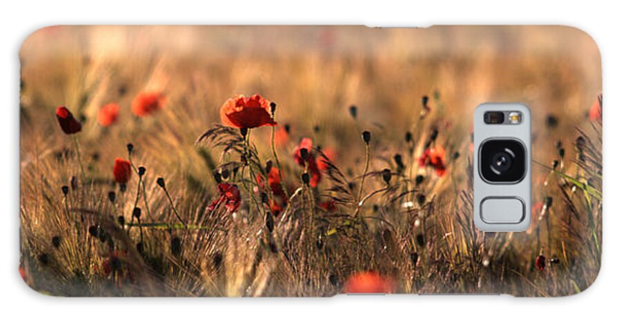 Poppies Galaxy Case featuring the photograph Poppies in a field by Ulrich Kunst And Bettina Scheidulin