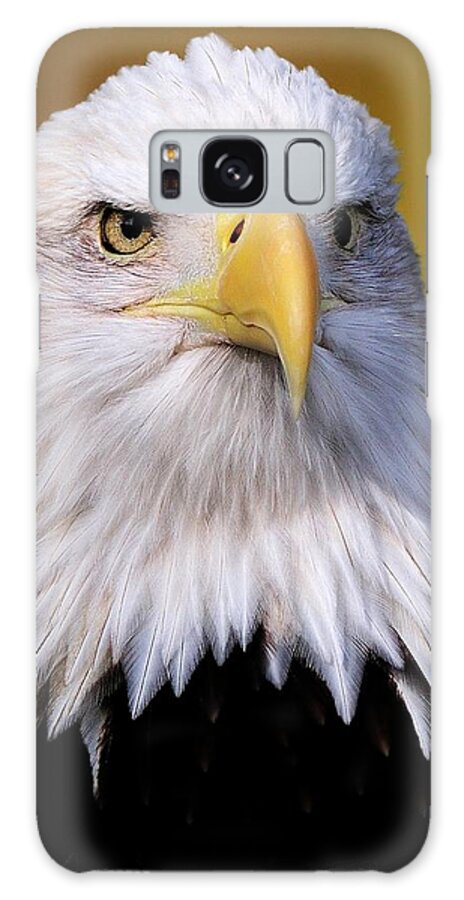 Baldeagle Galaxy Case featuring the photograph Portrait of a Bald Eagle by Bill Dodsworth