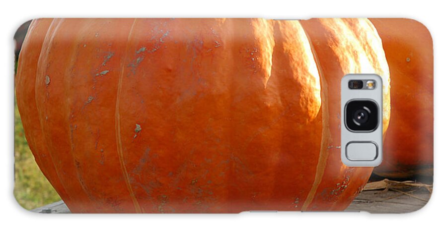 Food And Beverage Galaxy Case featuring the photograph Pounds of Pumpkin Fun by LeeAnn McLaneGoetz McLaneGoetzStudioLLCcom