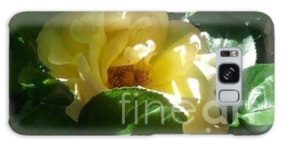 Yellow Rose Galaxy Case featuring the photograph Pretty Shy by Yenni Harrison