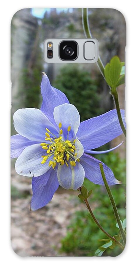 Columbine Galaxy S8 Case featuring the photograph Pride of Colorado by Ramie Liddle