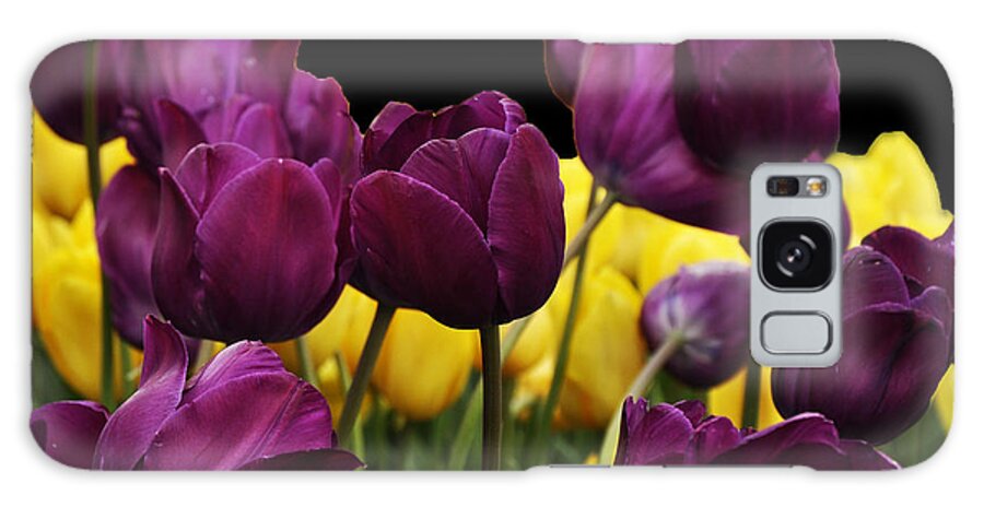 Digital Art Galaxy S8 Case featuring the digital art Purple Tulips by Vijay Sharon Govender